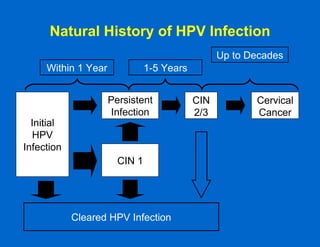 Natural History of HPV Infection Within 1 Year 1-5 Years Up to Decades Initial HPV Infection Persistent Infection CIN 2/3 Cervical Cancer CIN 1 Cleared HPV Infection 