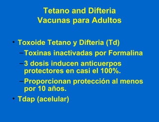 Tetano and Difteria Vacunas para Adultos Toxoide Tetano y Difteria (Td) Toxinas inactivadas por Formalina 3 dosis inducen anticuerpos protectores en casi el 100%. Proporcionan protección al menos por 10 años. Tdap (acelular) 