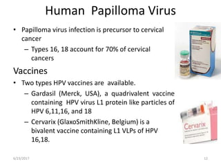 Human Papilloma Virus
• Papilloma virus infection is precursor to cervical
cancer
– Types 16, 18 account for 70% of cervical
cancers
Vaccines
• Two types HPV vaccines are available.
– Gardasil (Merck, USA), a quadrivalent vaccine
containing HPV virus L1 protein like particles of
HPV 6,11,16, and 18
– Cervarix (GlaxoSmithKline, Belgium) is a
bivalent vaccine containing L1 VLPs of HPV
16,18.
6/23/2017 12
 