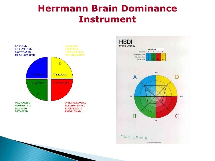 Herrmann Brain Dominance Instrument Worksheet.pdf Herrmann Dominanz Instrument Fragebogen – JTCP