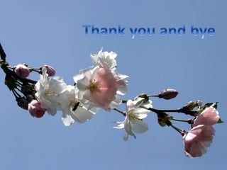 Adult learning activities