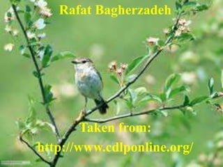 Rafat Bagherzadeh
Taken from:
http://www.cdlponline.org/
 