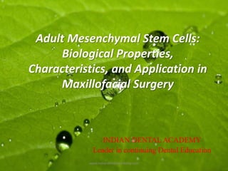 Adult Mesenchymal Stem Cells:
Biological Properties,
Characteristics, and Application in
Maxillofacial Surgery
INDIAN DENTAL ACADEMY
Leader in continuing Dental Education
www.indiandentalacademy.com
 