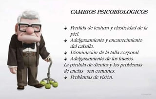 CAMBIOS PSICOBIOLOGICOS
Perdida de textura y elasticidad de la
piel.
Adelgazamiento y encanecimiento
del cabello.
Disminución de la talla corporal.
Adelgazamiento de los huesos.
La pérdida de dientes y los problemas
de encías son comunes.
Problemas de visión.
 
