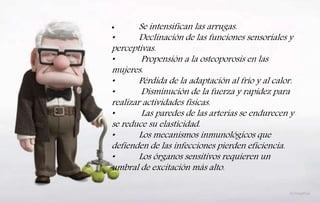 • Se intensifican las arrugas.
• Declinación de las funciones sensoriales y
perceptivas.
• Propensión a la osteoporosis en las
mujeres.
• Pérdida de la adaptación al frío y al calor.
• Disminución de la fuerza y rapidez para
realizar actividades físicas.
• Las paredes de las arterias se endurecen y
se reduce su elasticidad.
• Los mecanismos inmunológicos que
defienden de las infecciones pierden eficiencia.
• Los órganos sensitivos requieren un
umbral de excitación más alto.
 