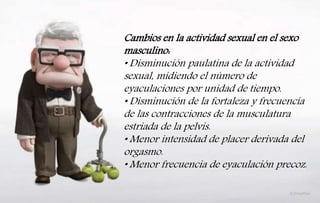 Cambios en la actividad sexual en el sexo
masculino:
• Disminución paulatina de la actividad
sexual, midiendo el número de
eyaculaciones por unidad de tiempo.
• Disminución de la fortaleza y frecuencia
de las contracciones de la musculatura
estriada de la pelvis.
• Menor intensidad de placer derivada del
orgasmo.
• Menor frecuencia de eyaculación precoz.
 