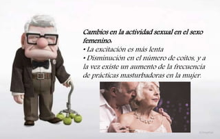 Cambios en la actividad sexual en el sexo
femenino:
• La excitación es más lenta
• Disminución en el número de coitos, y a
la vez existe un aumento de la frecuencia
de prácticas masturbadoras en la mujer.
 