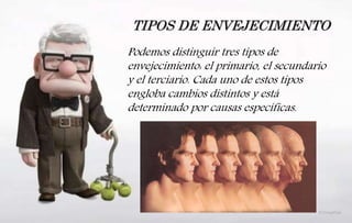 TIPOS DE ENVEJECIMIENTO
Podemos distinguir tres tipos de
envejecimiento: el primario, el secundario
y el terciario. Cada uno de estos tipos
engloba cambios distintos y está
determinado por causas específicas.
 