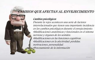 CAMBIOS QUE AFECTAN AL ENVEJECIMIENTO
Cambios psicológicos
Durante la vejez acontecen una serie de factores
interrelacionados que tienen una importante incidencia
en los cambios psicológicos durante el envejecimiento:
•Modificaciones anatómicas y funcionales en el sistema
nervioso y órganos de los sentidos.
•Modificaciones en las funciones cognitivas.
•Modificaciones en la afectividad: pérdidas,
motivaciones, personalidad.
•Procesamiento de la información
 