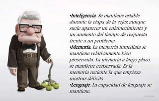 •Inteligencia. Se mantiene estable
durante la etapa de la vejez aunque
suele aparecer un enlentecimiento y
un aumento del tiempo de respuesta
frente a un problema.
•Memoria. La memoria inmediata se
mantiene relativamente bien
preservada. La memoria a largo plazo
se mantiene conservada. Es la
memoria reciente la que empieza
mostrar déficits
•Lenguaje. La capacidad de lenguaje se
mantiene.
 