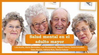 Salud mental en el
adulto mayor
Luis Acuña, Gloria Bermúdez, Luis Bustamante, Miguel Charris, KarlaGonzález,
Siany Ramos, Adriana Ruiz, Danna Salazar
 