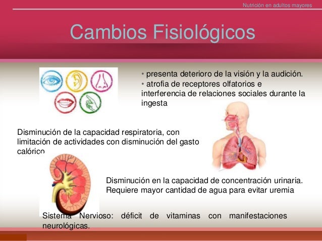 atencion nutricional en el Adulto mayor atencion nutricional en el Adulto mayor