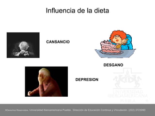 Influencia de la dieta DEPRESION CANSANCIO DESGANO 
