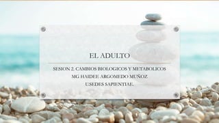 EL ADULTO
SESION 2. CAMBIOS BIOLOGICOS Y METABOLICOS
MG HAIDEE ARGOMEDO MUÑOZ
U.SEDES SAPIENTIAE.
 
