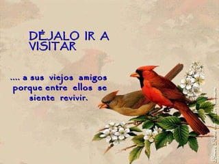 .... a sus  viejos  amigos  porque entre  ellos  se  siente  revivir.  DÉJALO  IR  A  VISITAR 