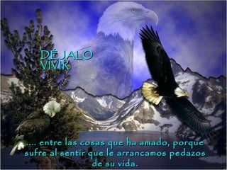 .... entre las cosas que ha amado, porque sufre al sentir que le arrancamos pedazos de su vida. DÉJALO  VIVIR 