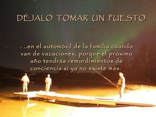 . ..en el automóvil de la familia cuando van de vacaciones, porque el próximo año tendrás remordimientos de conciencia si ya no existe más.  DÉJALO  TOMAR  UN  PUESTO 