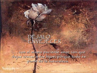 ... . con el mismo paciente amor con que dejas crecer a tus hijos, porque todo es parte de la naturaleza.  DÉJALO  ENVEJECER 