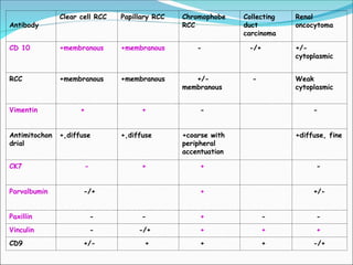 ADULT RENAL TUMORS OR RCC (PATHOLOGY PRESENTATION) | PPT