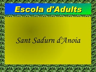 Escola d'Adults Sant Sadurn d'Anoia 