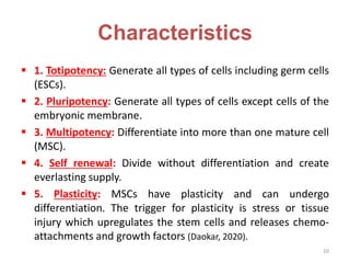 Characteristics
 1. Totipotency: Generate all types of cells including germ cells
(ESCs).
 2. Pluripotency: Generate all types of cells except cells of the
embryonic membrane.
 3. Multipotency: Differentiate into more than one mature cell
(MSC).
 4. Self renewal: Divide without differentiation and create
everlasting supply.
 5. Plasticity: MSCs have plasticity and can undergo
differentiation. The trigger for plasticity is stress or tissue
injury which upregulates the stem cells and releases chemo-
attachments and growth factors (Daokar, 2020).
10
 