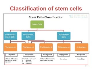 Classification of stem cells
11
 