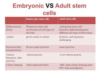 Embryonic VS Adult stem
cells
12
 