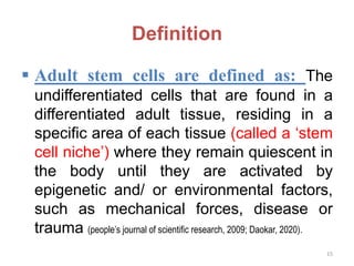 Definition
 Adult stem cells are defined as: The
undifferentiated cells that are found in a
differentiated adult tissue, residing in a
specific area of each tissue (called a ‘stem
cell niche’) where they remain quiescent in
the body until they are activated by
epigenetic and/ or environmental factors,
such as mechanical forces, disease or
trauma (people’s journal of scientific research, 2009; Daokar, 2020).
15
 