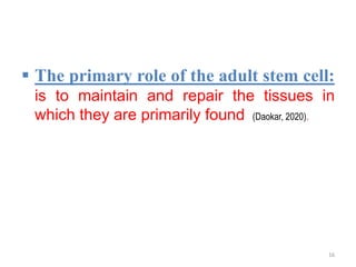  The primary role of the adult stem cell:
is to maintain and repair the tissues in
which they are primarily found (Daokar, 2020).
16
 