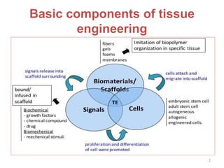 Basic components of tissue
engineering
2
 