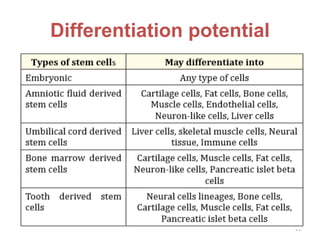 Differentiation potential
23
 
