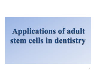 Applications of adult
stem cells in dentistry
25
 