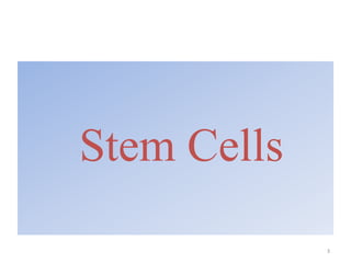 Stem Cells
3
 
