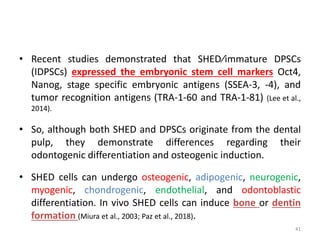 • Recent studies demonstrated that SHED∕immature DPSCs
(IDPSCs) expressed the embryonic stem cell markers Oct4,
Nanog, stage specific embryonic antigens (SSEA-3, -4), and
tumor recognition antigens (TRA-1-60 and TRA-1-81) (Lee et al.,
2014).
• So, although both SHED and DPSCs originate from the dental
pulp, they demonstrate differences regarding their
odontogenic differentiation and osteogenic induction.
• SHED cells can undergo osteogenic, adipogenic, neurogenic,
myogenic, chondrogenic, endothelial, and odontoblastic
differentiation. In vivo SHED cells can induce bone or dentin
formation (Miura et al., 2003; Paz et al., 2018).
41
 