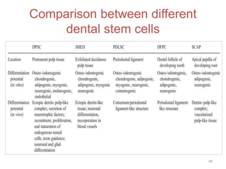 Comparison between different
dental stem cells
48
 