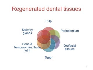 Regenerated dental tissues
Pulp
Periodontium
Orofacial
tissues
Teeth
Bone &
Temporomandibular
joint
Salivary
glands
51
 