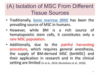 (A) Isolation of MSC From Different
Tissue Sources
• Traditionally, bone marrow (BM) has been the
prevailing source of MSC in humans.
• However, while BM is a rich source of
hematopoietic stem cells, it constitutes only a
rare MSC population.
• Additionally, due to the painful harvesting
procedure, which requires general anesthesia,
the supply of BM-derived MSC (bmMSC) and
their application in research and in the clinical
setting are limited (Li et al., 2016; Mushahary et al., 2018).
53
 