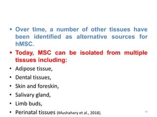  Over time, a number of other tissues have
been identified as alternative sources for
hMSC.
 Today, MSC can be isolated from multiple
tissues including:
• Adipose tissue,
• Dental tissues,
• Skin and foreskin,
• Salivary gland,
• Limb buds,
• Perinatal tissues (Mushahary et al., 2018). 54
 