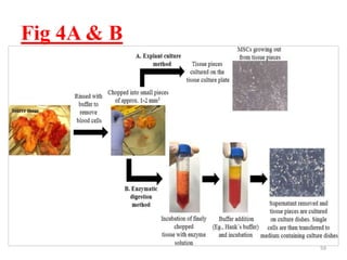 Fig 4A & B
59
 