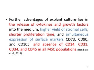 • Further advantages of explant culture lies in
the release of cytokines and growth factors
into the medium, higher yield of stromal cells,
shorter proliferation time, and simultaneous
expression of surface markers CD73, CD90,
and CD105, and absence of CD14, CD31,
CD34, and CD45 in all MSC populations (Hendijani
et al., 2017).
63
 
