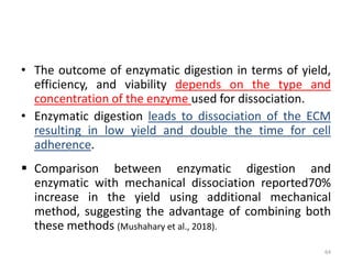 • The outcome of enzymatic digestion in terms of yield,
efficiency, and viability depends on the type and
concentration of the enzyme used for dissociation.
• Enzymatic digestion leads to dissociation of the ECM
resulting in low yield and double the time for cell
adherence.
 Comparison between enzymatic digestion and
enzymatic with mechanical dissociation reported70%
increase in the yield using additional mechanical
method, suggesting the advantage of combining both
these methods (Mushahary et al., 2018).
64
 