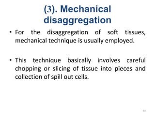(3). Mechanical
disaggregation
• For the disaggregation of soft tissues,
mechanical technique is usually employed.
• This technique basically involves careful
chopping or slicing of tissue into pieces and
collection of spill out cells.
65
 