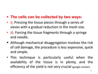  The cells can be collected by two ways:
• i). Pressing the tissue pieces through a series of
sieves with a gradual reduction in the mesh size.
• ii). Forcing the tissue fragments through a syringe
and needle.
 Although mechanical disaggregation involves the risk
of cell damage, the procedure is less expensive, quick
and simple.
• This technique is particularly useful when the
availability of the tissue is in plenty, and the
efficiency of the yield is not very crucial (google scholar).
66
 