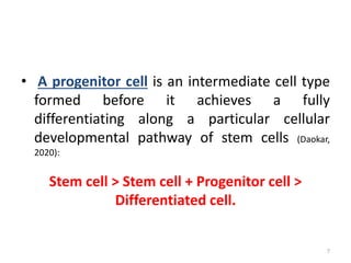 • A progenitor cell is an intermediate cell type
formed before it achieves a fully
differentiating along a particular cellular
developmental pathway of stem cells (Daokar,
2020):
Stem cell > Stem cell + Progenitor cell >
Differentiated cell.
7
 