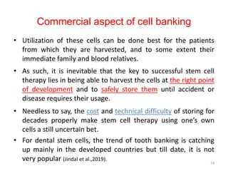 Commercial aspect of cell banking
• Utilization of these cells can be done best for the patients
from which they are harvested, and to some extent their
immediate family and blood relatives.
• As such, it is inevitable that the key to successful stem cell
therapy lies in being able to harvest the cells at the right point
of development and to safely store them until accident or
disease requires their usage.
• Needless to say, the cost and technical difficulty of storing for
decades properly make stem cell therapy using one’s own
cells a still uncertain bet.
• For dental stem cells, the trend of tooth banking is catching
up mainly in the developed countries but till date, it is not
very popular (Jindal et al.,2019).
74
 