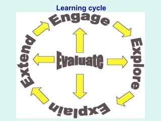 Learning cycle
 