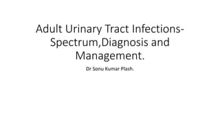 Adult Urinary Tract Infections-
Spectrum,Diagnosis and
Management.
Dr Sonu Kumar Plash.
 