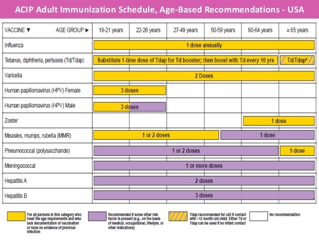 acip adult acip adult