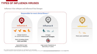 Influenza A has subtypes and influenza B has lineages
TYPES OF INFLUENZA VIRUSES
CDC, Centers for Disease Control and Prevention; HA, haemagglutinin; NA, neuraminidase.
1. Nelson MI, Holmes EC. Nat Rev Genet 2007;8:196–205; 2. CDC. Influenza. The Pink Book (13th
ed), 2015. www.cdc.gov/vaccines/pubs/pinkbook/flu.html. Accessed August 2018.
Most cases subclinical
Influenza C
Lineages
Victoria and Yamagata
Influenza B
Influenza A
Subtypes based on
HA and NA surface proteins
Main circulating strains
H1N1 and H3N2
Responsible for most clinical illness1,2
responsible for major
pandemics of influenza
major cause of epidemics at
least every 2–4 years
 