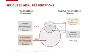 ~80%
~20%
Meningitis (5-10%),
Pleuritis, arthritis,
etc. (<5%)
Bacteremic
Pneumococcal
Pneumonia
Invasive
Pneumococcal
Disease
Non-invasive
Pneumococcal
Disease
Invasive Pneumococcal
Disease
Pneumococcal
Pneumonia
SERIOUS CLINICAL PRESENTATIONS
Adapted from:
Fedson DS. Pneumococcal vaccination for older adults. Drugs & aging. 1999 Dec 1;15(1):21-30.
80%–90%
 